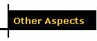 Other Aspects