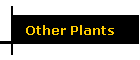 Other Plants