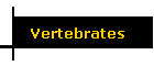 Vertebrates